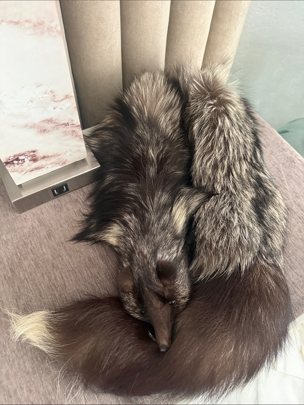 Real Fox silver fox fur scarf like new - Picture 9 of 10